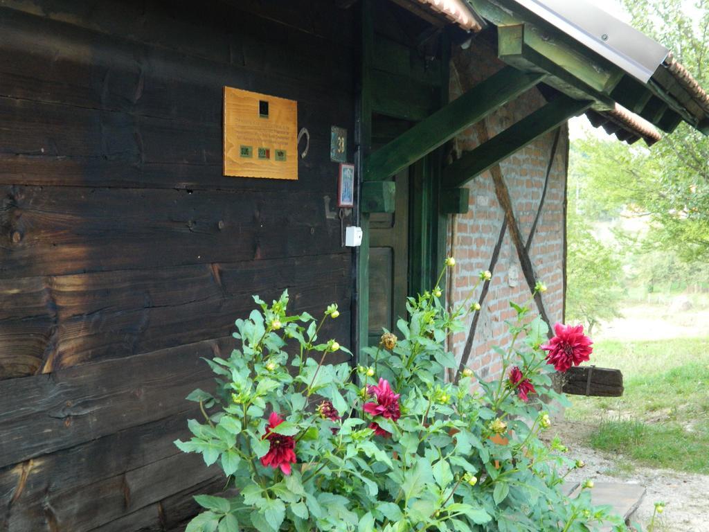 Chalet Belino Sokace Uzice Ngoại thất bức ảnh