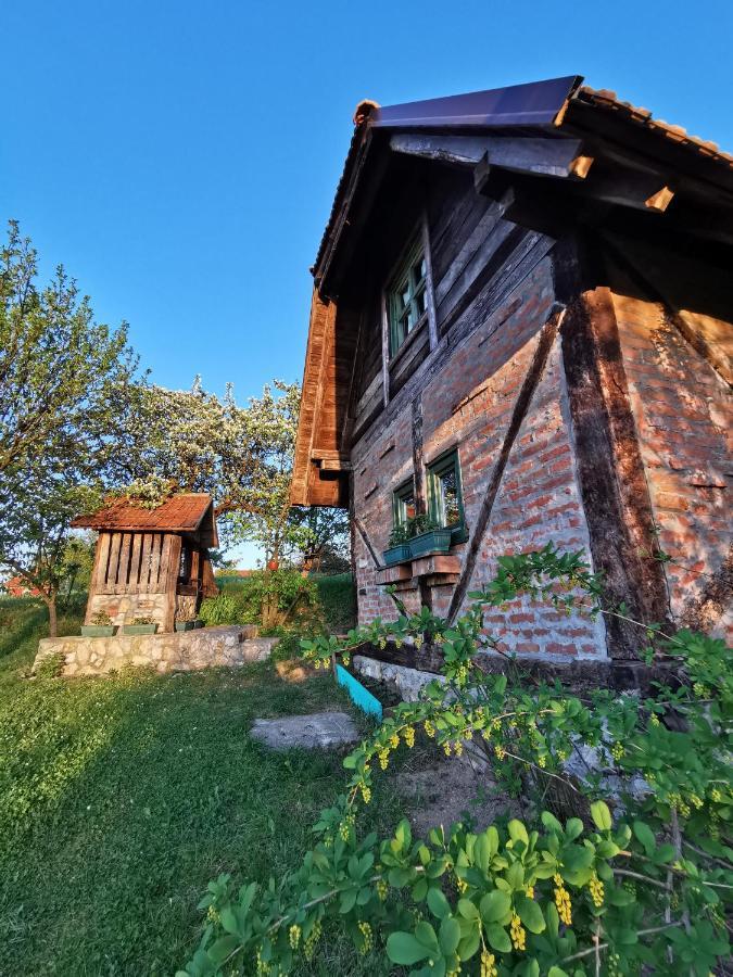 Chalet Belino Sokace Uzice Ngoại thất bức ảnh
